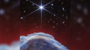La nebulosa "Cabeza de caballo", la imagen del día de la NASA
