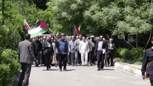 Manifestantes iraníes se solidarizan con las manifestaciones propalestinas