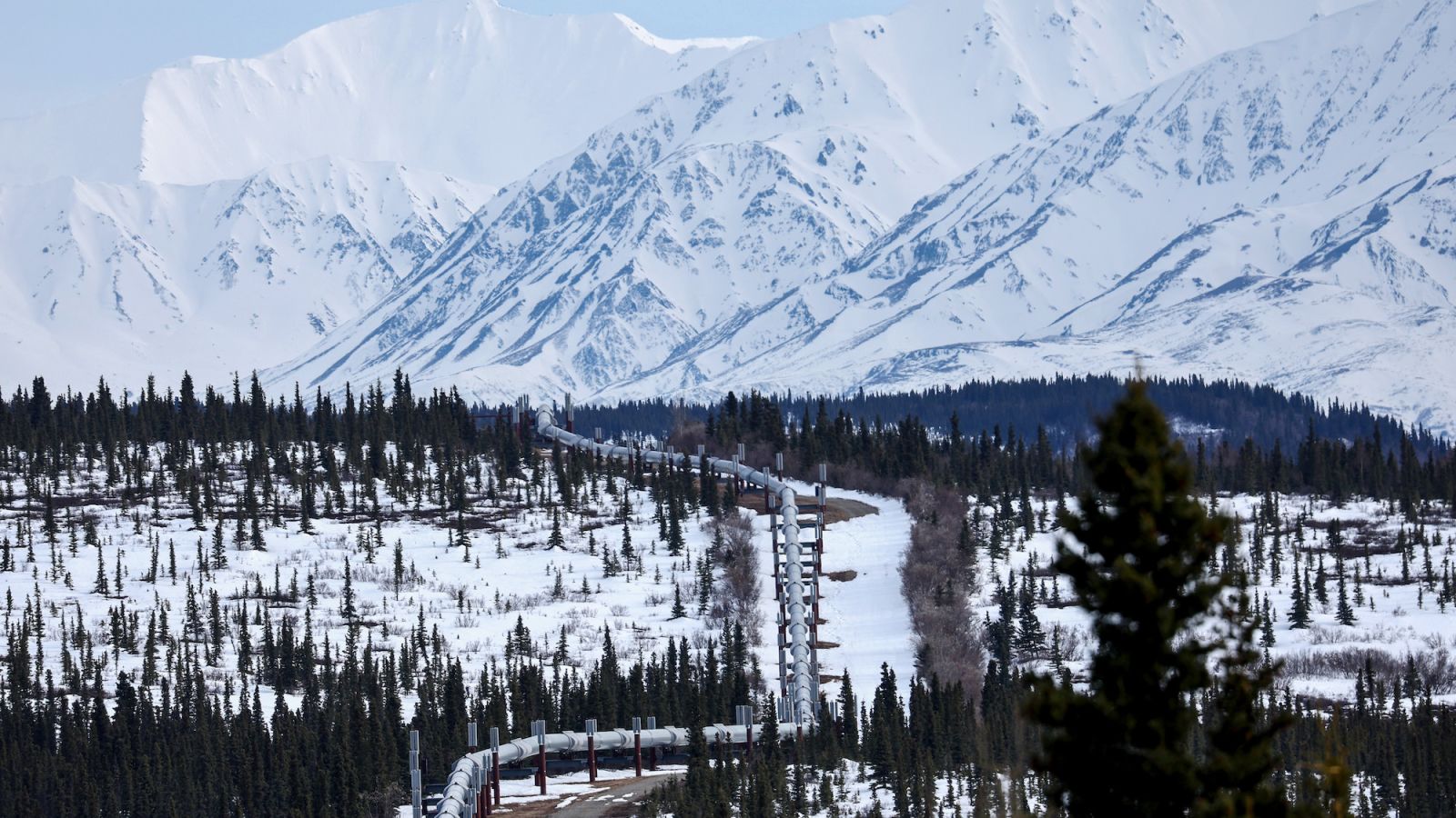 Biden administration bans drilling in nearly half of Alaska’s oil reserves