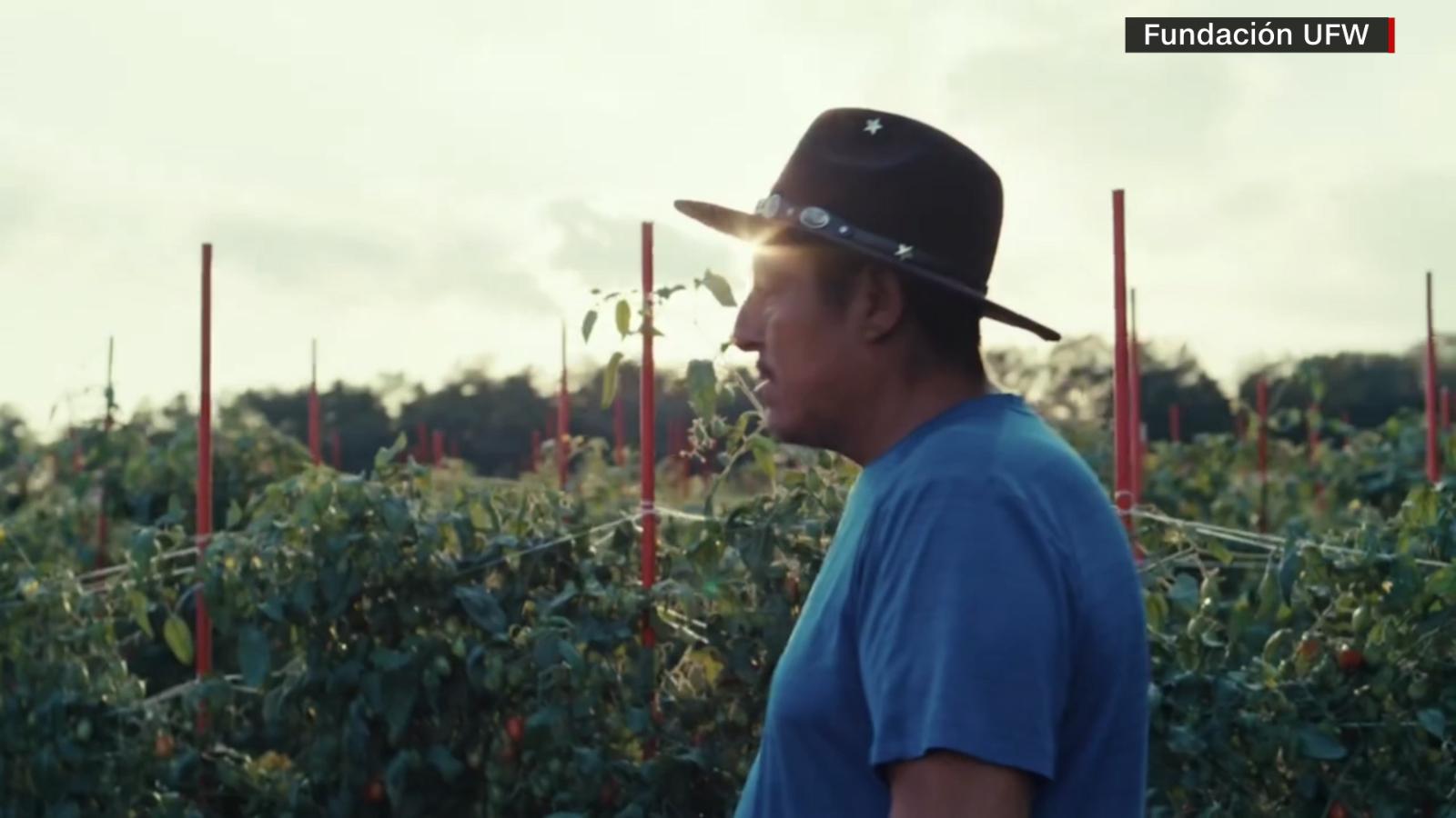 "Voces Campesinas", una docuserie que refleja los efectos d...limático en la vida de los trabajadores agrícolas de EE. UU.