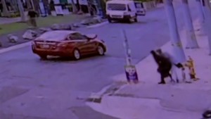Mujer multada por chocar cuando perseguía a quien le robó su bolso