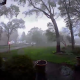 Un tornado arranca todos los árboles en un jardín en Michigan