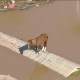 El rescate de un caballo en las inundaciones en Brasil