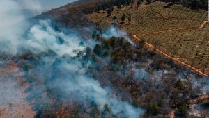 ¿Qué causan los incendios forestales activos en México?