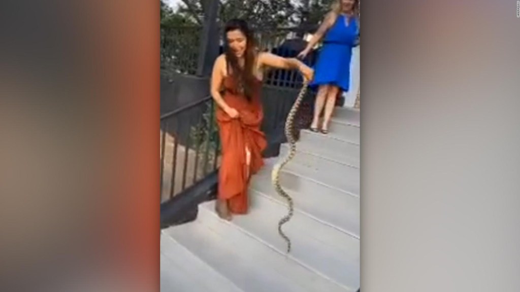 Serpiente interrumpe una boda en Arizona