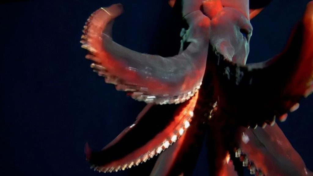 Video muestra a una rara criatura de las profundidades marinas atacando