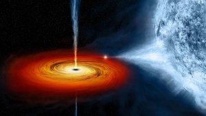 En una ilustración artística, un agujero negro extrae material de una estrella compañera, formando un disco que gira alrededor del agujero negro antes de caer en él. (NASA/CXC/M. Weiss)