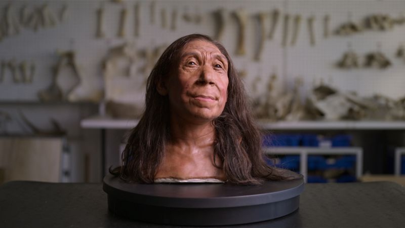 Científicos revelan el rostro de un neandertal que vivió hace 75.000 años