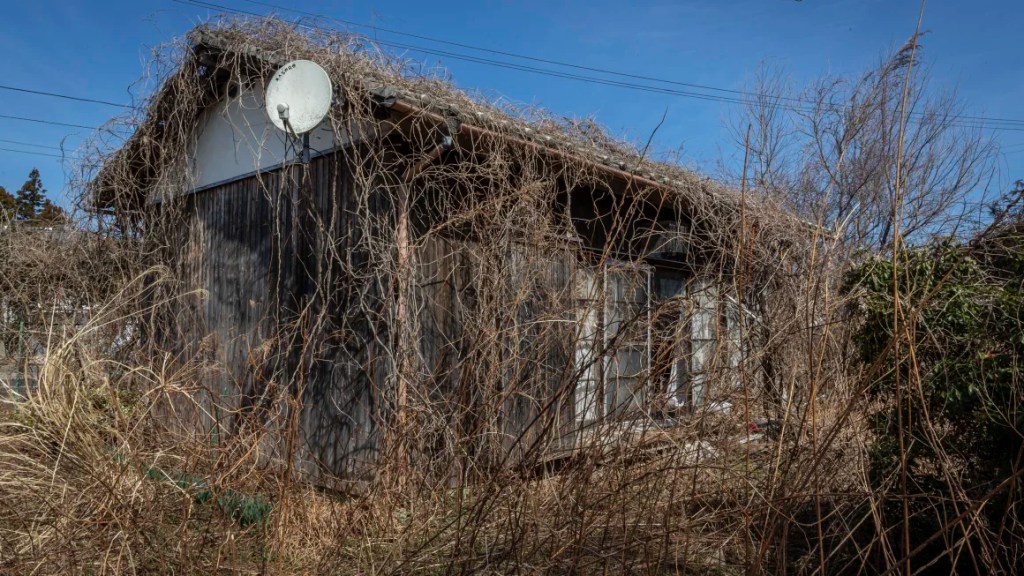 La maleza y las enredaderas crecen alrededor de una casa abandonada en Okuma, Japón, el 9 de marzo de 2023, antes de las ceremonias para conmemorar el décimo aniversario del terremoto de Tohoku de 2011. (Foto: Yuichi Yamazaki/Getty Images).