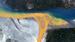 Ríos de color naranja turbio en Alaska son visibles desde el espacio