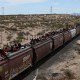Migrantes de diferentes nacionalidades que buscan asilo en Estados Unidos viajan en vagones de carga del tren mexicano conocido como "La Bestia" el 24 de abril de 2024. (Foto de HERIKA MARTINEZ/AFP vía Getty Images)