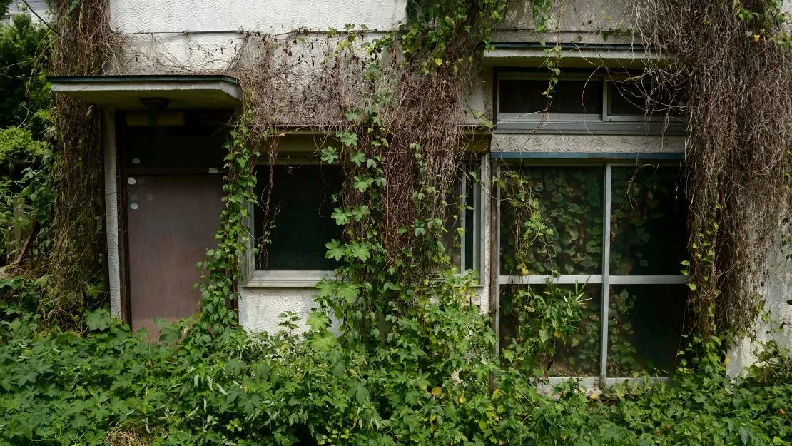 Vegetation grows around an empty house in the Yato area of ​​Yokosuka city, Kanagawa Prefecture, Japan, on August 21, 2013.  (Photo: Akio Kon/Bloomberg/Getty Images/File.)