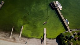Las razones por las que el lago más grande de Inglaterra está muriendo