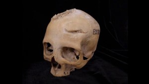 El cráneo E270, datado entre el 664 a.C. y el 343 a.C., pertenecía a una mujer de al menos 50 años, según el estudio. (Cortesía de Tondini, Isidro, Camarós)