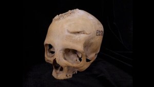 El cráneo E270, datado entre el 664 a.C. y el 343 a.C., pertenecía a una mujer de al menos 50 años, según el estudio. (Cortesía de Tondini, Isidro, Camarós)