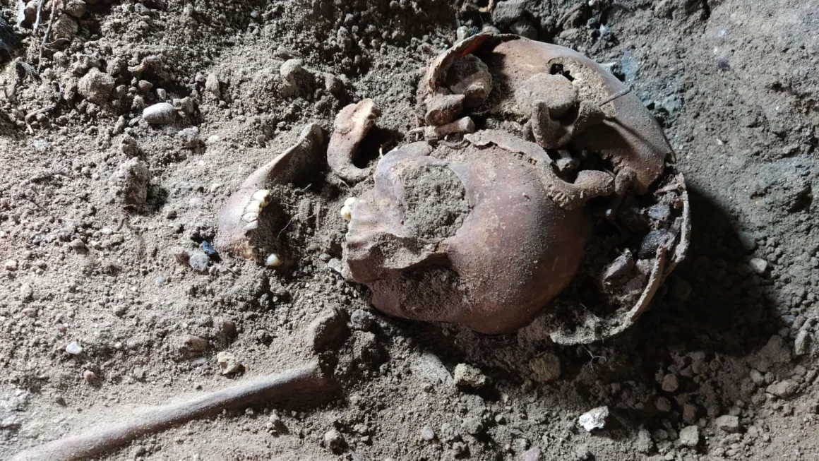 Five human skeletons found outside Nazi leader's home in Poland