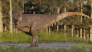 dinosaurio patagonia argentina