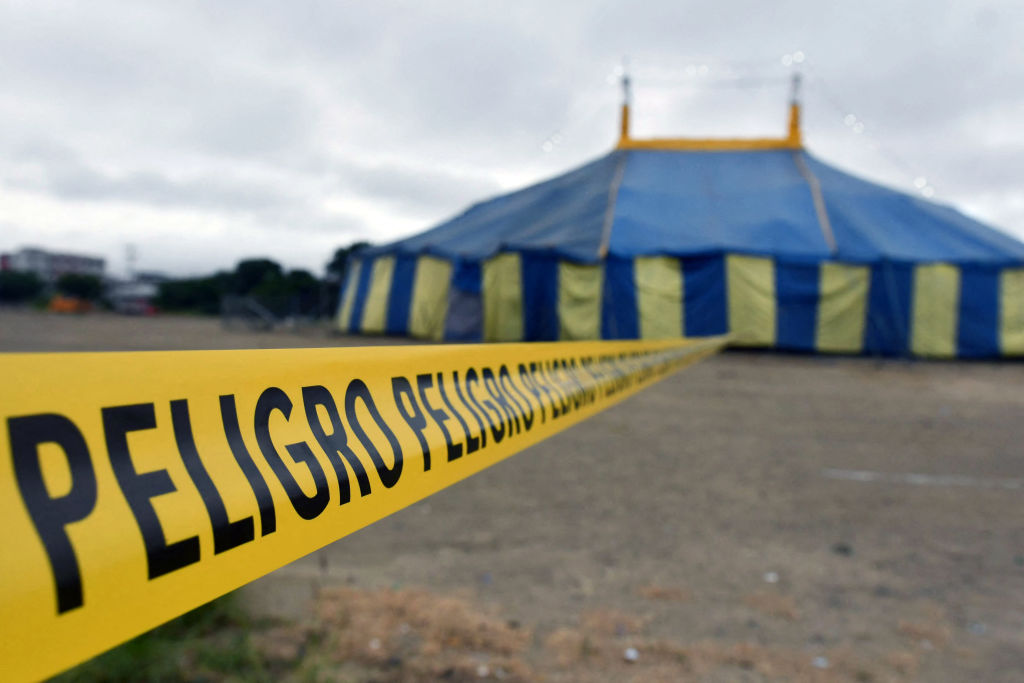 ecuador circo