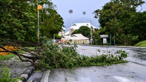 Un árbol caído en la calle mientras el huracán Beryl pasa cerca de Bridgetown, Barbados, el 1 de julio de 2024. (Crédito: CHANDAN KHANNA/AFP vía Getty Images)
