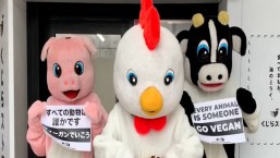 Activistas disfrazados protestan en Japón frente a máquinas expendedoras de carne de ballena