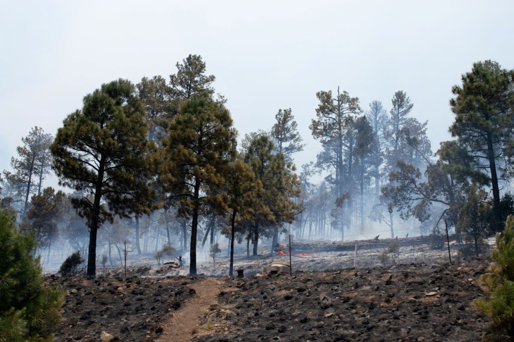 El humo se eleva mientras el incendio de South Fork continúa ardiendo en el norte de Ruidoso, Nuevo México, el 18 de junio. (Kaylee Greenlee Beal/Reuters)