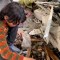 Niño reúne pedazos de los restos de su hermano después de que una bomba israelí estallara en una escuela en Gaza