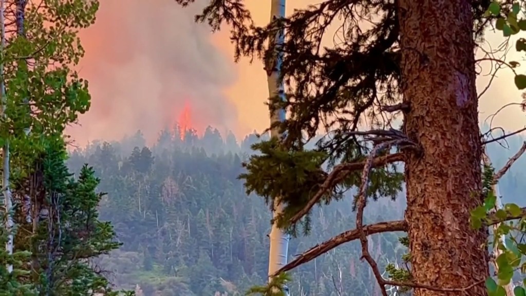 Más de 4.000 hectáreas fueron consumidas por los incendios forestales en Utah