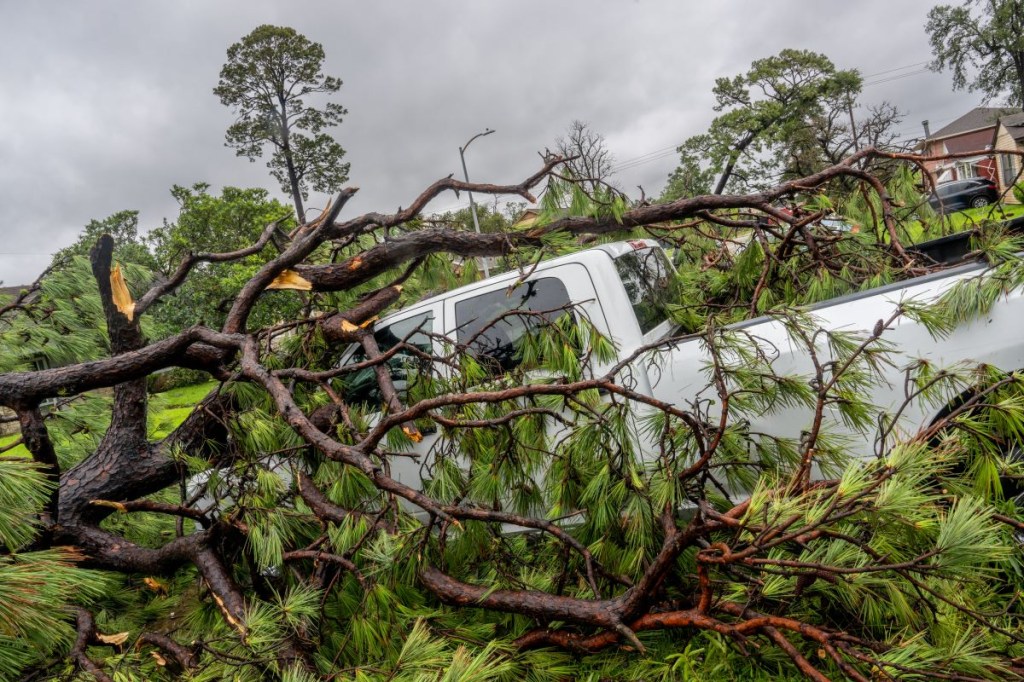 Una camioneta queda atrapada debajo de un árbol derribado después de que el huracán Beryl arrasó el área el 8 de julio de 2024 en Houston, Texas. (Foto de Brandon Bell/Getty Images)