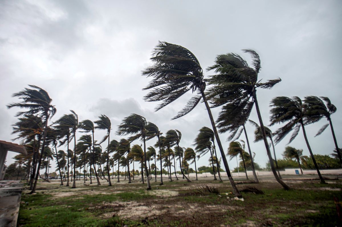 Breaking News On Tropical Storm Beryl In The US, Live: Track, News And More