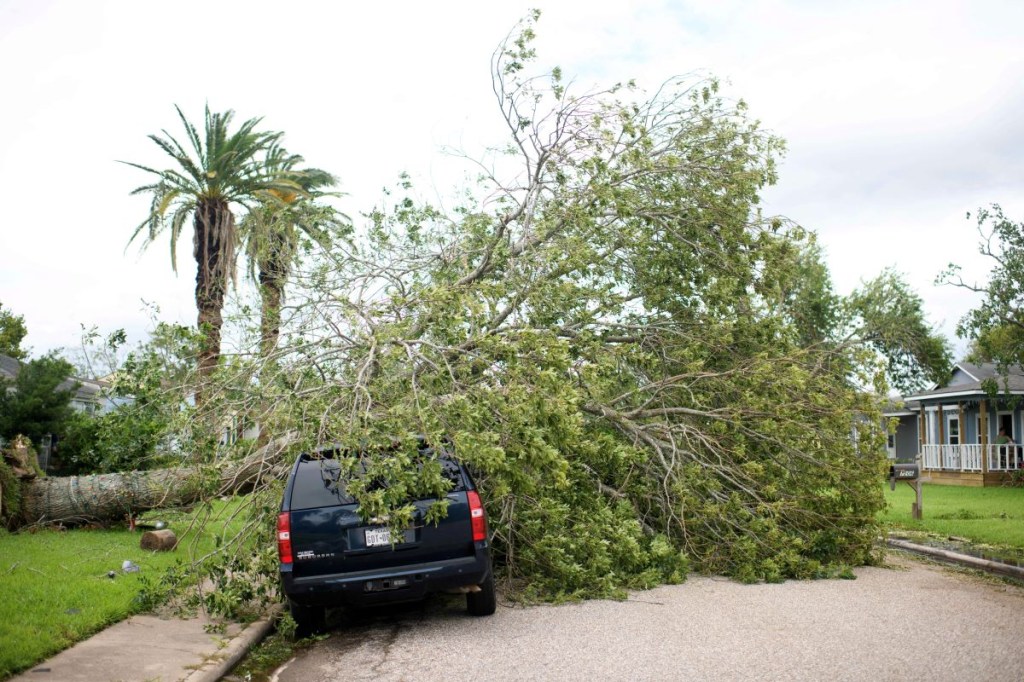 Se ve un árbol caído en un automóvil en Freeport, Texas, el 8 de julio de 2024, después de que el huracán Beryl tocara tierra. (Foto de MARK FELIX/AFP vía Getty Images)