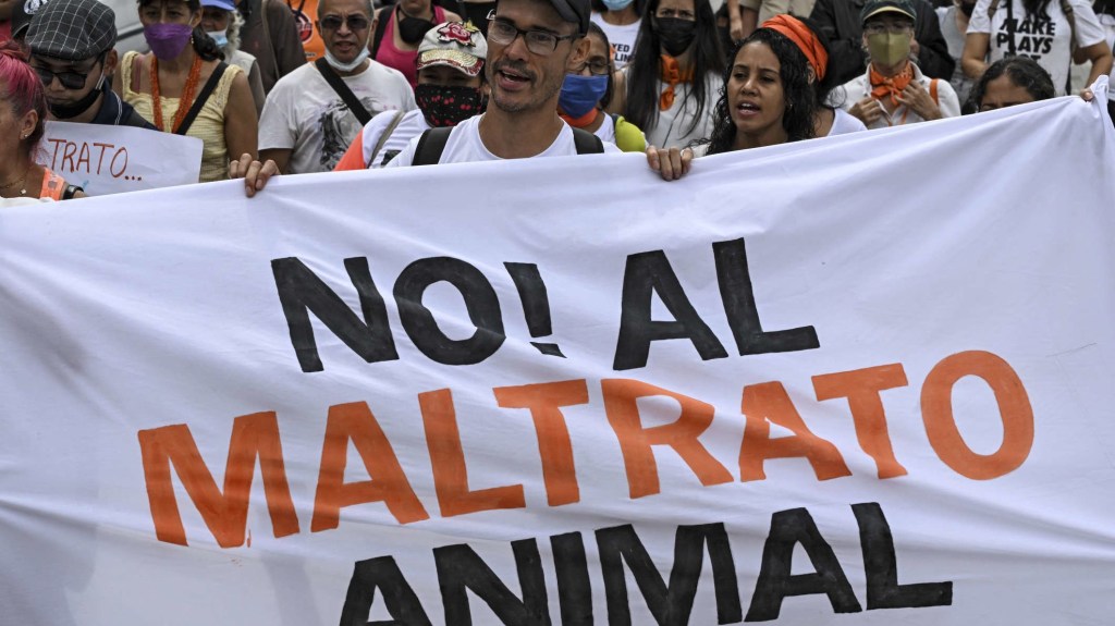 ¿Qué cambios propone el nuevo proyecto de ley contra el maltrato animal en Argentina?