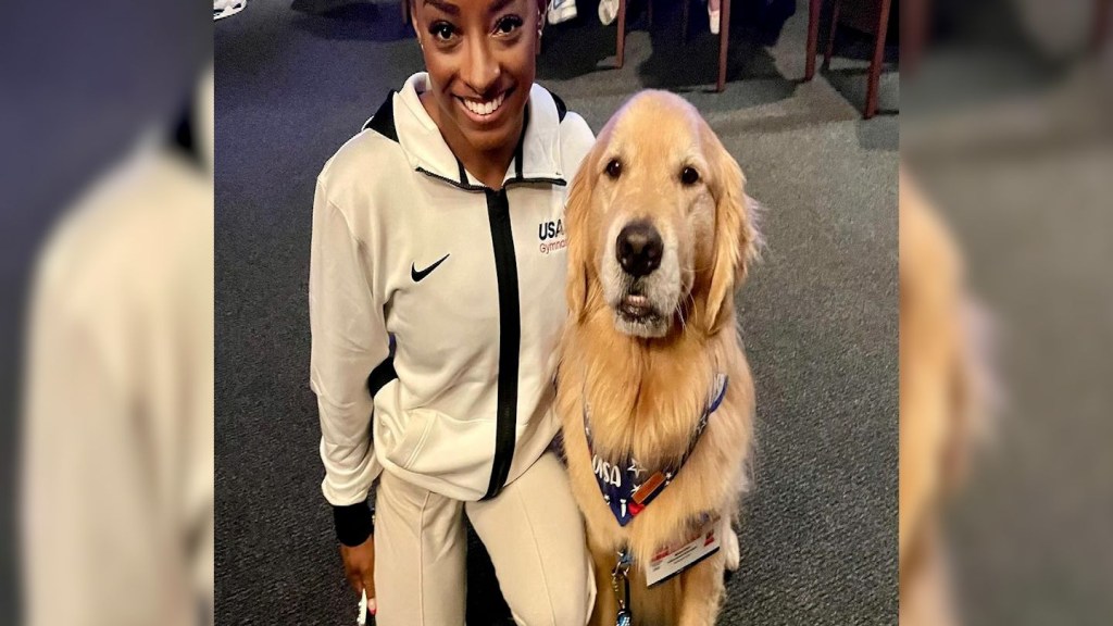 Conoce a Beacon, el perro de terapia estrella del equipo de gimnasia de Estados Unidos