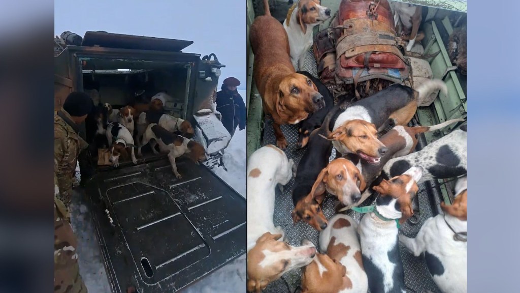 Mira cómo rescataron a este trabajador del campo y a sus 13 perros en una intensa nevada en Argentina