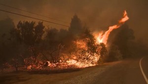 Arden bosques en California mientras aumenta el calor