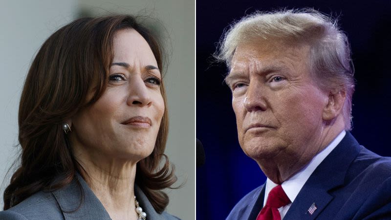 ANÁLISIS | La Furia De Trump Por El Cambio De Harris Con Biden Impulsa ...