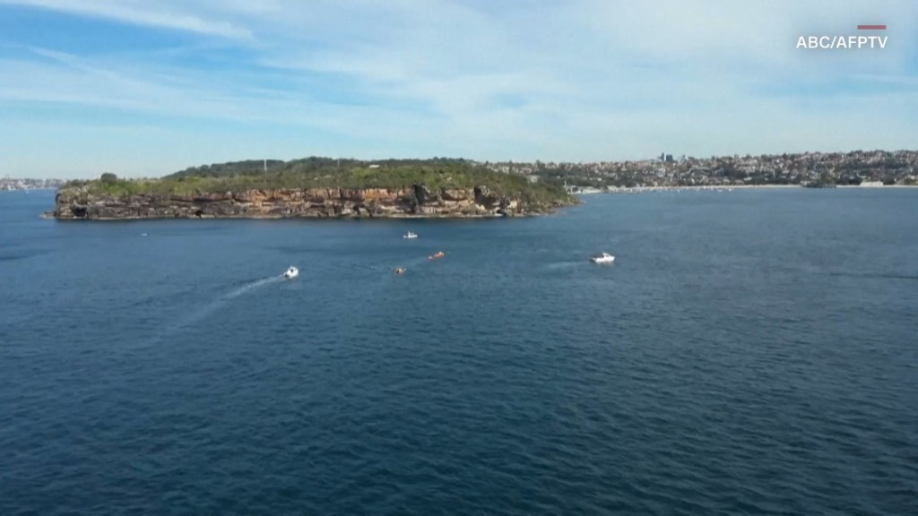 Liberan a una ballena jorobada en Australia que estuvo atrapada por 22 horas