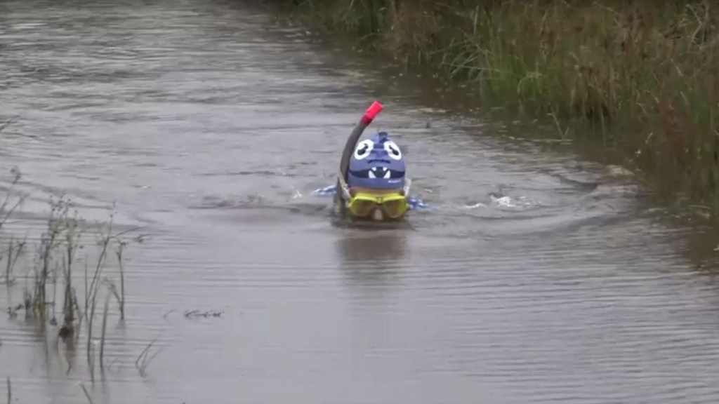 En Gales realizan el campeonato mundial de snorkel en pantano