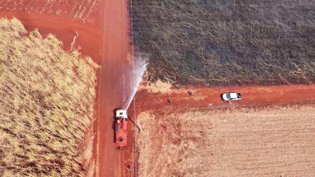 Lula da Silva señala que algunas personas han provocado incendios ilegalmente en Brasil