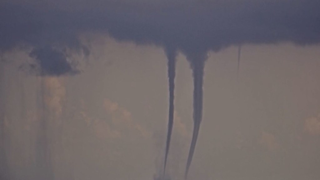 Dos gigantes de agua aparecen en Palm Beach, el espectáculo natural que sorprendió a Florida