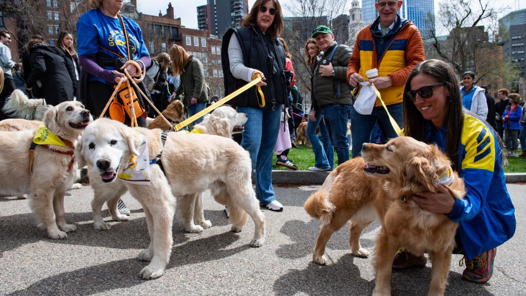 En Estados Unidos cada vez más dueños de mascotas les heredan dinero para su cuidado después de morir