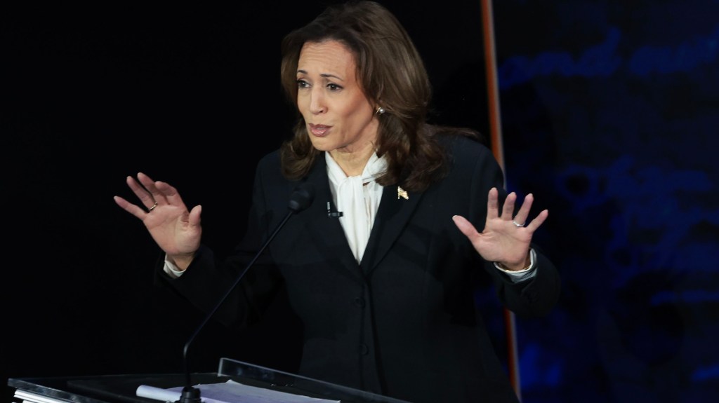 Kamala Harris dice que trabajará todos los días para crear un camino hacia dos estados: de Israel y Palestina