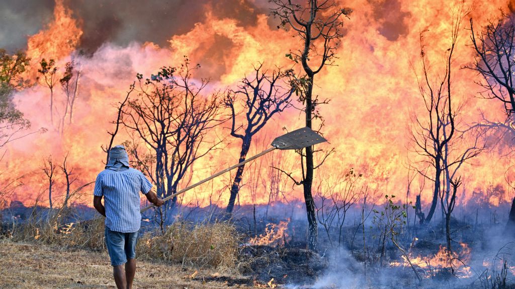 Incendios forestales en el Amazonas causan estragos en Brasil y Perú