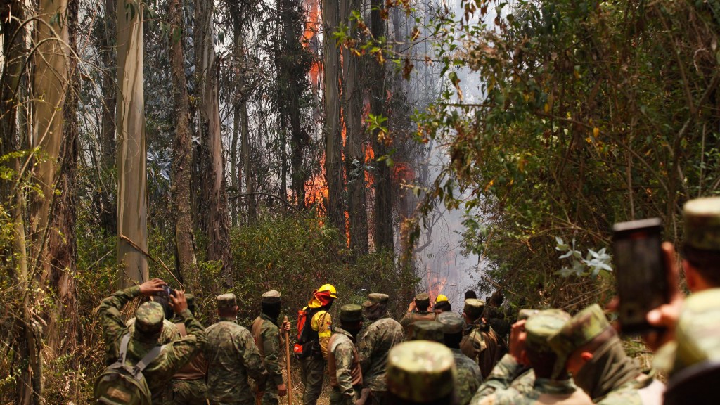 Detienen a sospechoso de iniciar incendios forestales en Quito