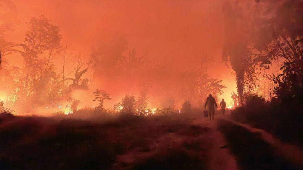 Voluntarios y bomberos combaten los incendios que se salieron de control durante la quema de bosques y pastizales con fines agrícolas en Rurrunabaque, departamento del Beni, Bolivia, el 16 de noviembre de 2023. (Crédito: Cristian CASTRO / AFP)