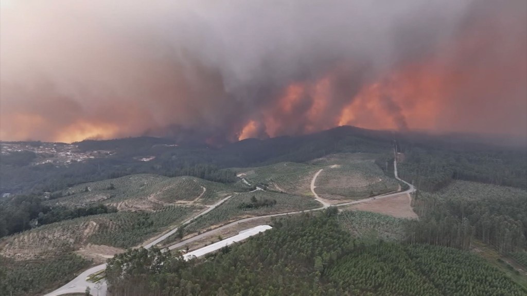 Las devastadoras imágenes de los incendios que azotan Portugal