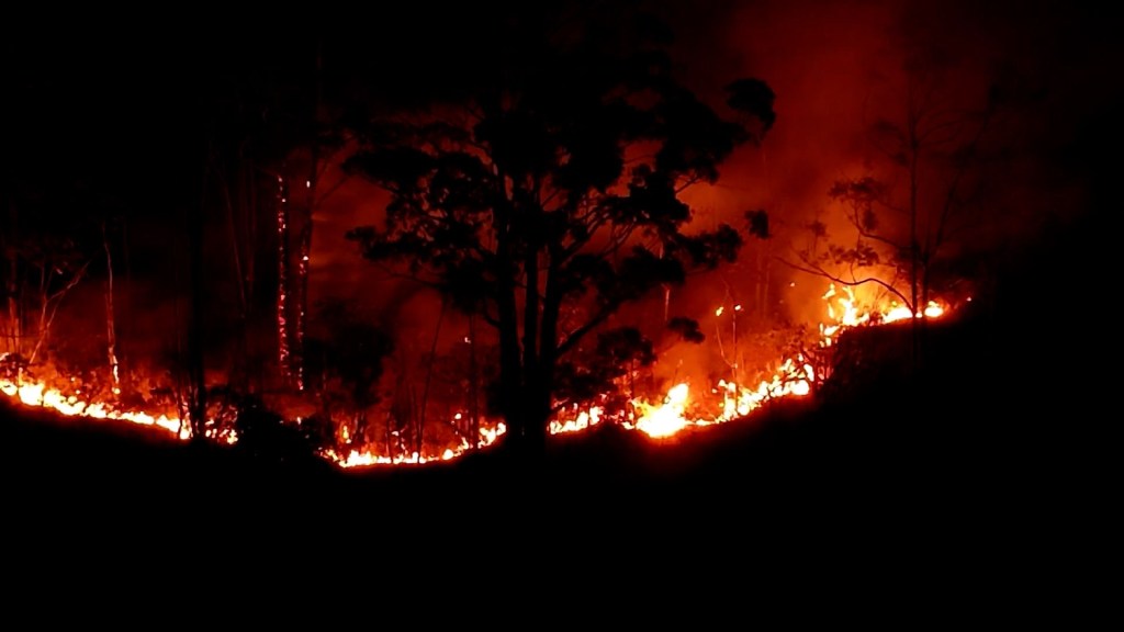 Emergencia en regiones del Amazonas, el pulmón del mundo envuelto en llamas