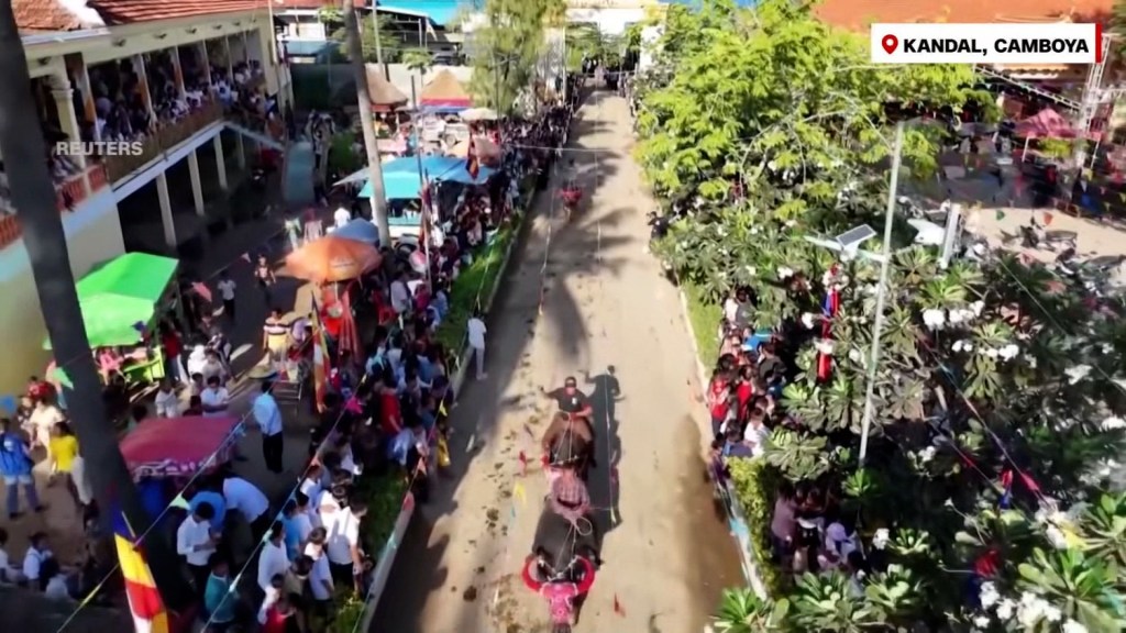 Conoce el “Festival de los Muertos” en Camboya, donde realizan una carrera de búfalos