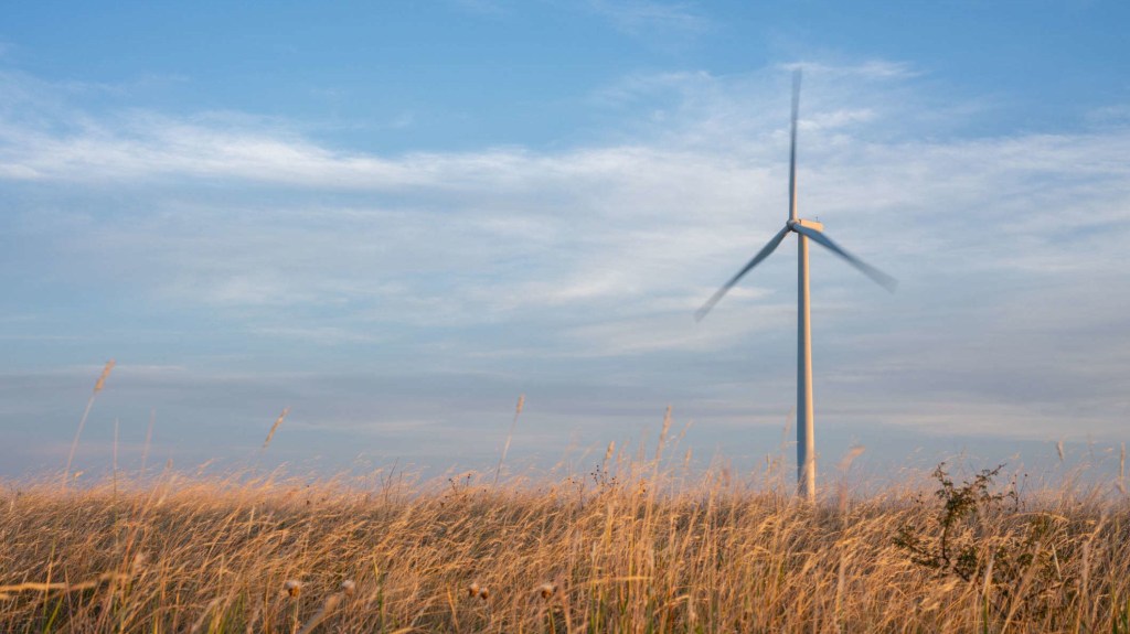 EE.UU. y México se comprometerán con las energías renovables sin importar quién llegue a la Casa Blanca, dice experto