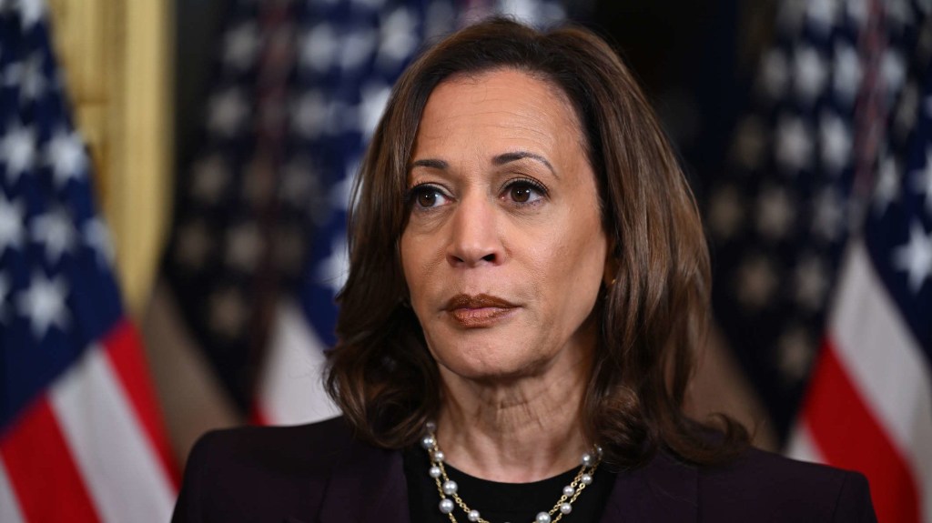 Kamala Harris ordenaría sanciones a Venezuela si Edmundo González no toma posesión, dice experto