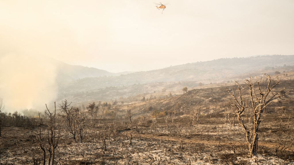 Jorge Rickards: Los ecosistemas están en punto de inflexión por el cambio climático